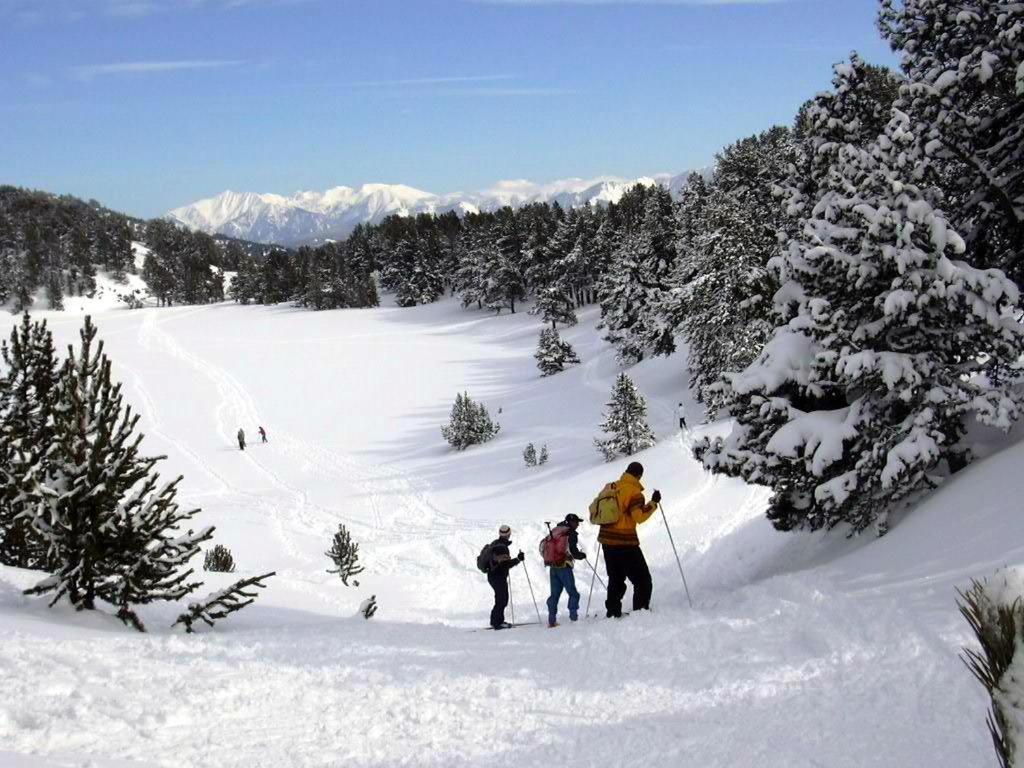 Le Chalet Du Ticou Bolquere Pyrenees 2000 Kültér fotó