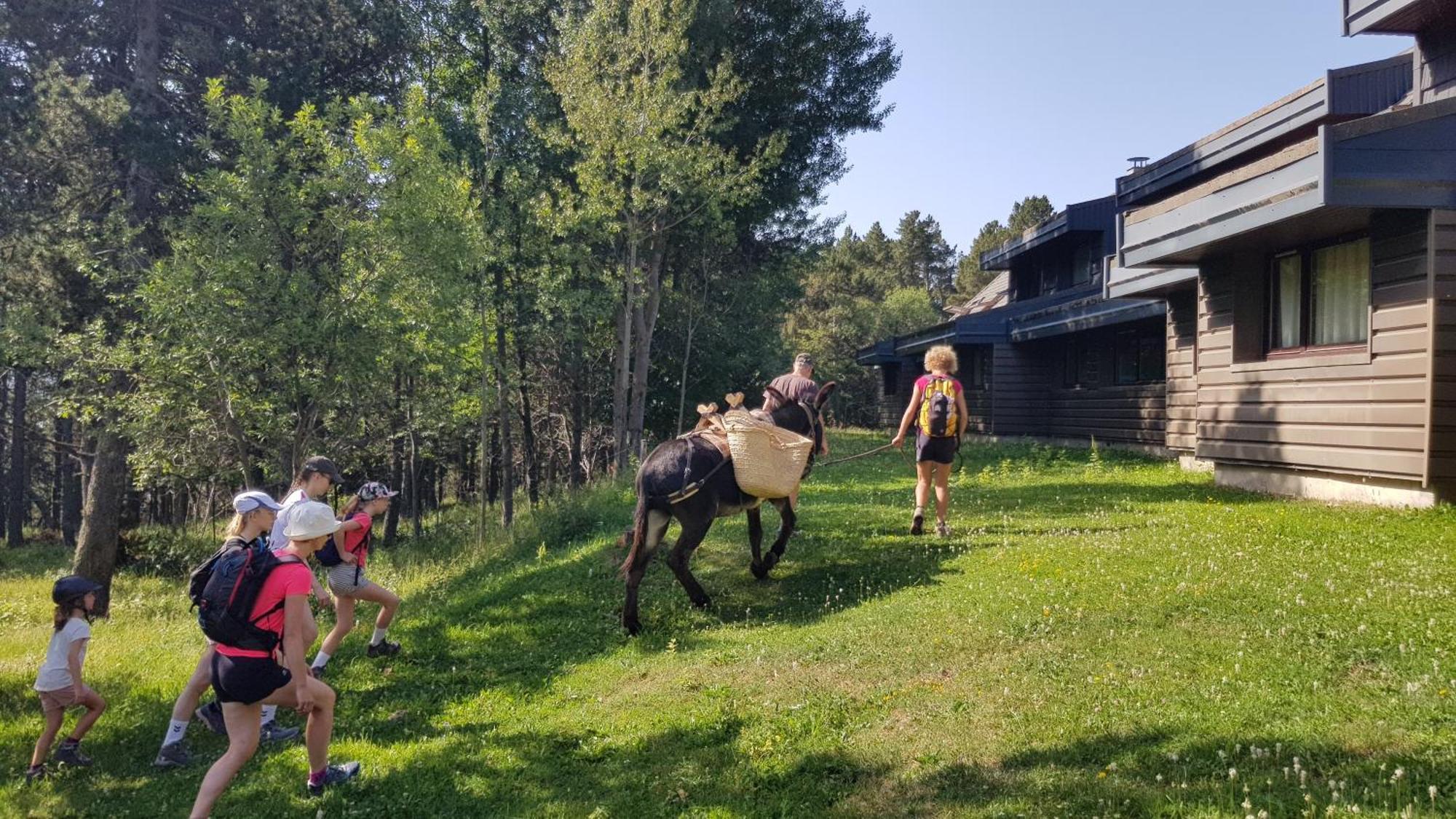 Le Chalet Du Ticou Bolquere Pyrenees 2000 Kültér fotó